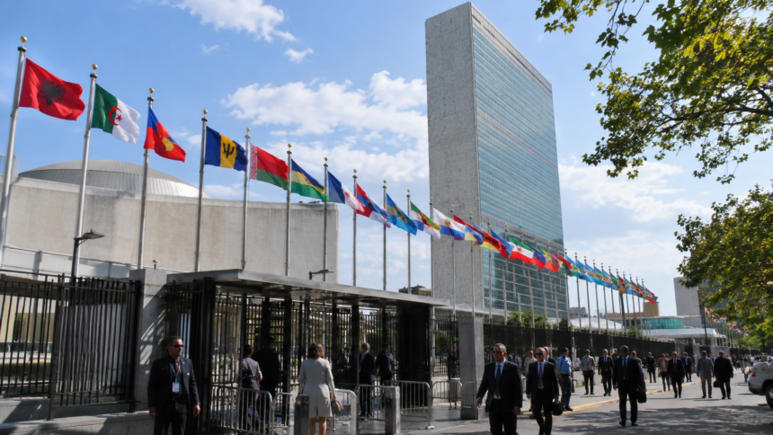 UN, Human Rights